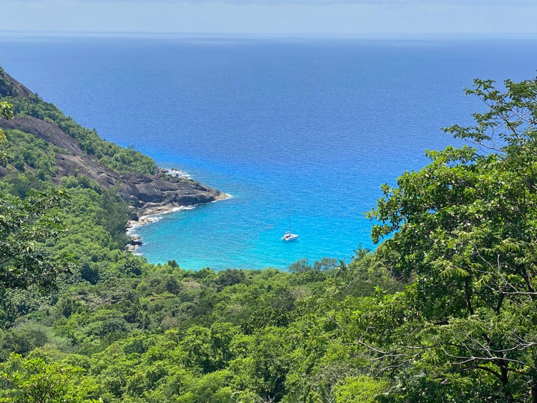 datingscout-kiyhnncvlaw-unsplash