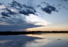 Jezioro Ypacaraí: Legendarne miejsce pełne uroku