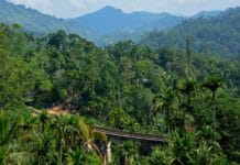 Rezerwat Bundala: Raj dla ptaków i miłośników przyrody