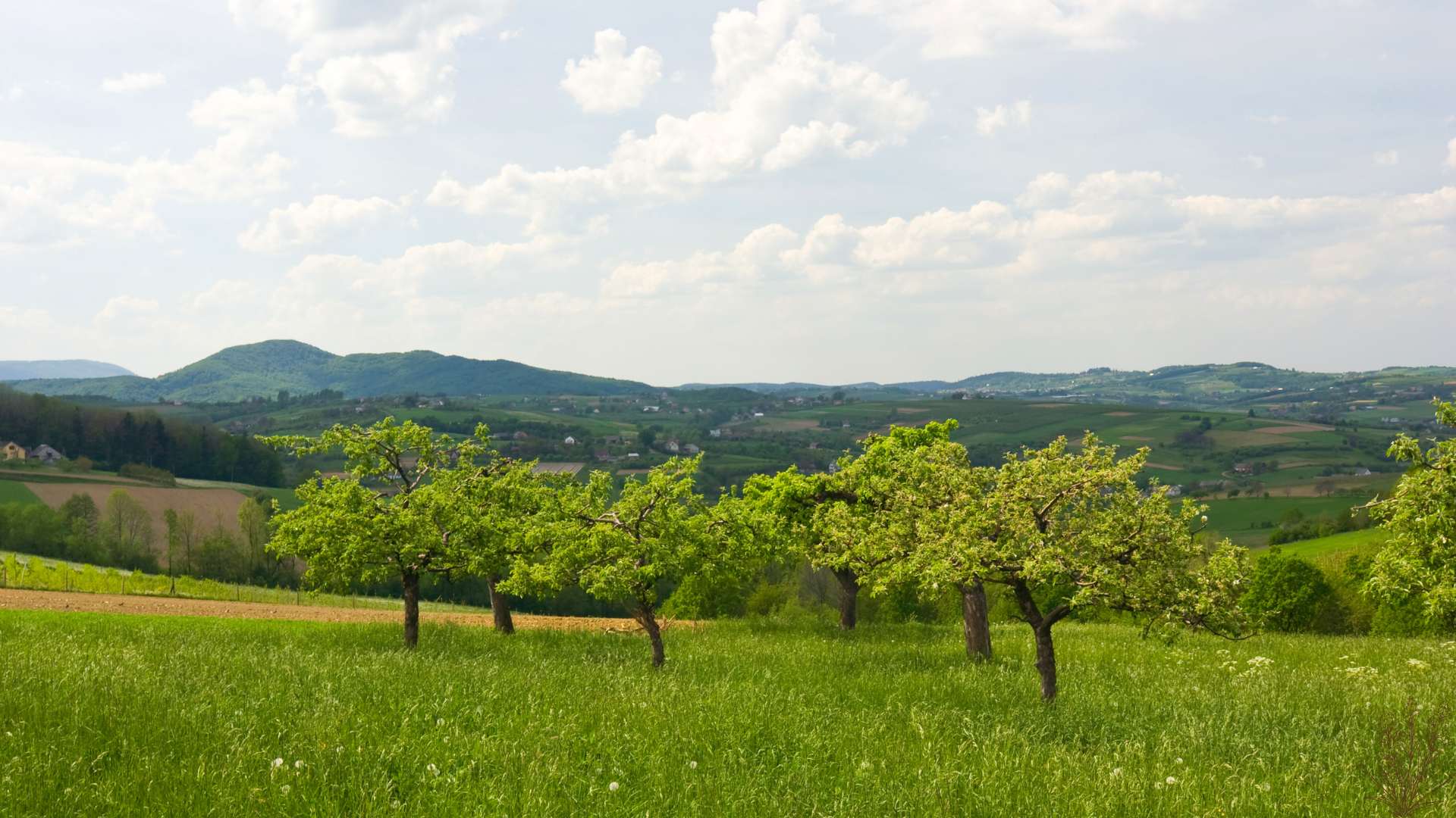 841a8adc56f34af3d4b96961e3fe613b