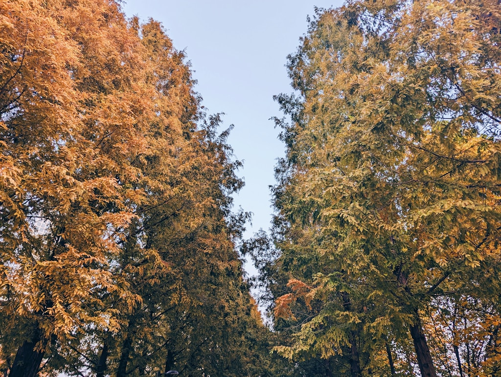Zresetuj się jesienią w Borach Tucholskich