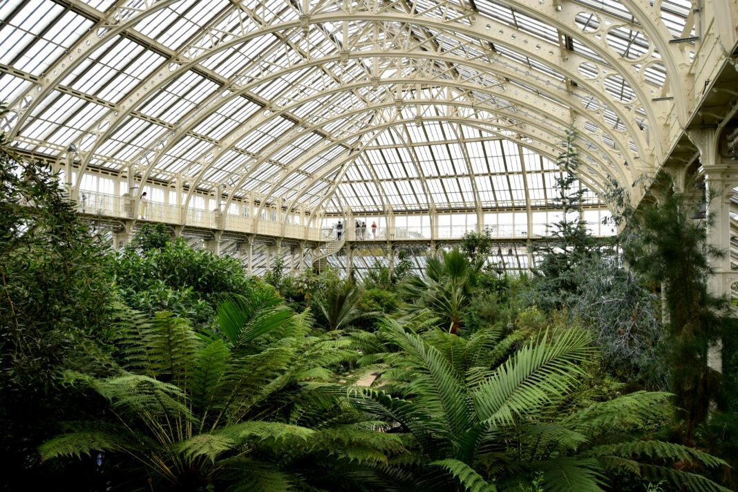 anglia Odkryj bujne wnętrze kultowej londyńskiej szklarni Kew Gardens z żywymi liśćmi i architekturą.