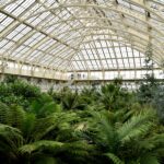 Odkryj bujne wnętrze kultowej londyńskiej szklarni Kew Gardens z żywymi liśćmi i architekturą.
