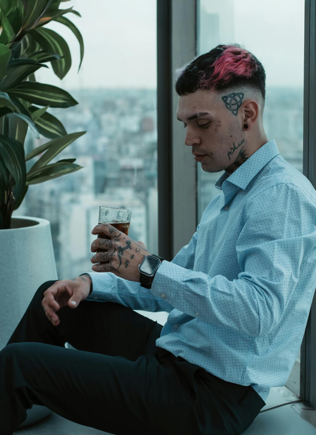 argentyna Darmowe zdjęcie stockowe napojów, wzór