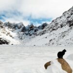 Malowniczy widok na ośnieżone góry w Patagonii, przedstawiający czarnego kota na skale.