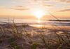 Złoty wschód słońca nad plażą Surfers Paradise z trawą morską na pierwszym planie.