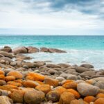 Jakie pamiątki przywieźć z Australii? Spokojne, skaliste wybrzeże w Australii Południowej z żywymi widokami na ocean.
