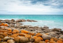 Jakie pamiątki przywieźć z Australii? Spokojne, skaliste wybrzeże w Australii Południowej z żywymi widokami na ocean.