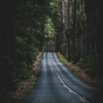 Mglista droga wijąca się przez gęsty las w Springbrook, QLD, Australia.