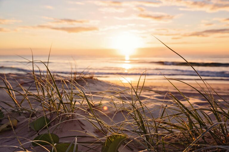 Złoty wschód słońca nad plażą Surfers Paradise z trawą morską na pierwszym planie.