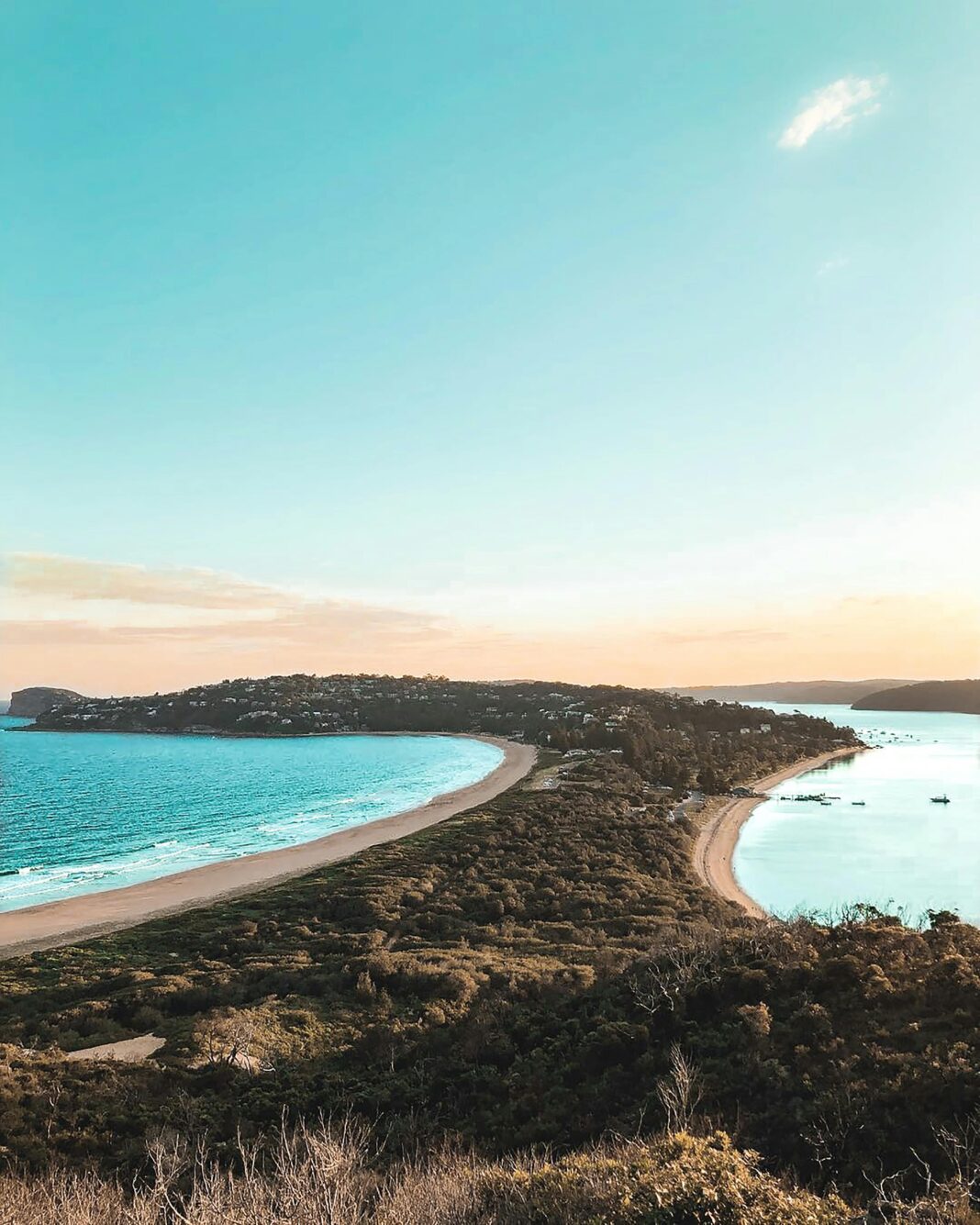 Oszałamiające ujęcie lotnicze Palm Beach w Nowej Południowej Walii, ukazujące turkusowe wody i bujną zieleń.