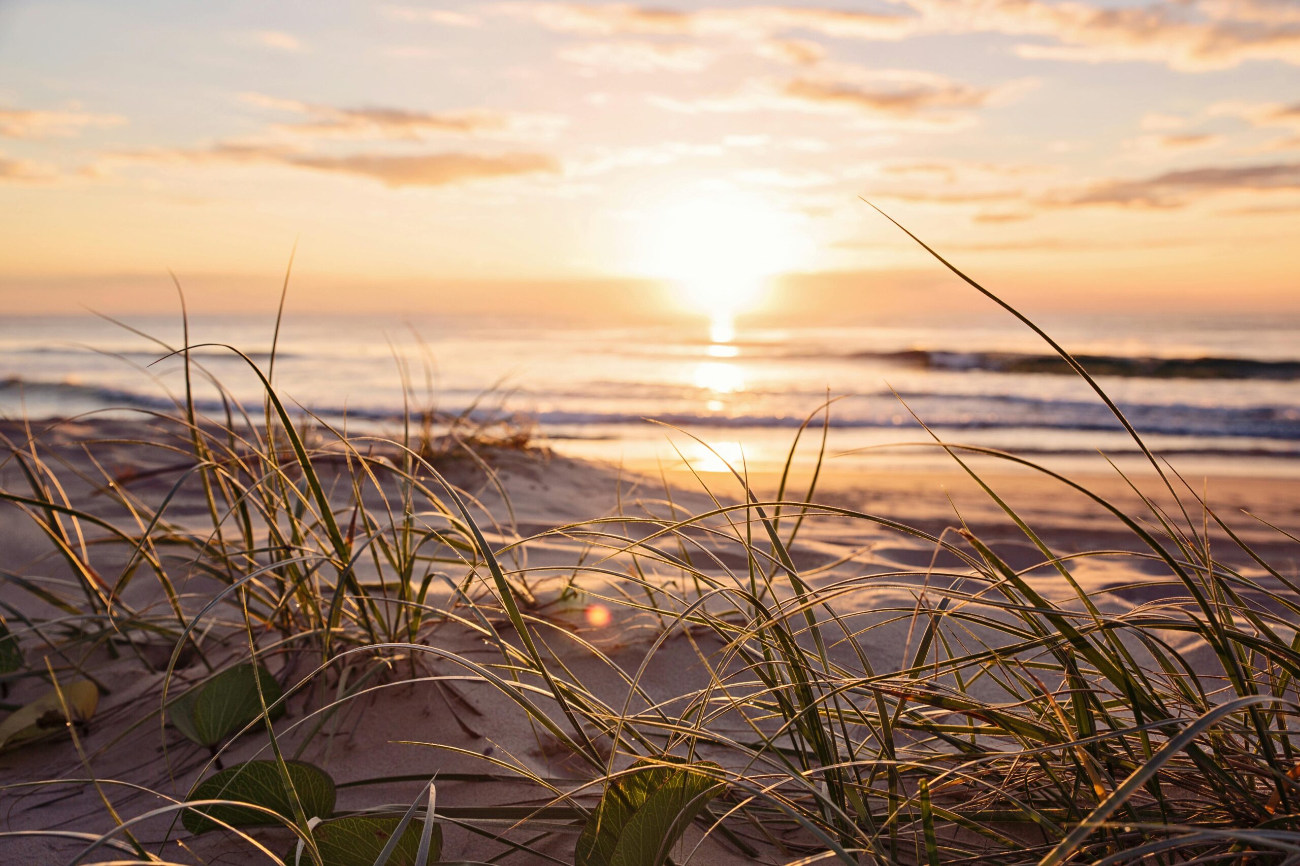 Złoty wschód słońca nad plażą Surfers Paradise z trawą morską na pierwszym planie.