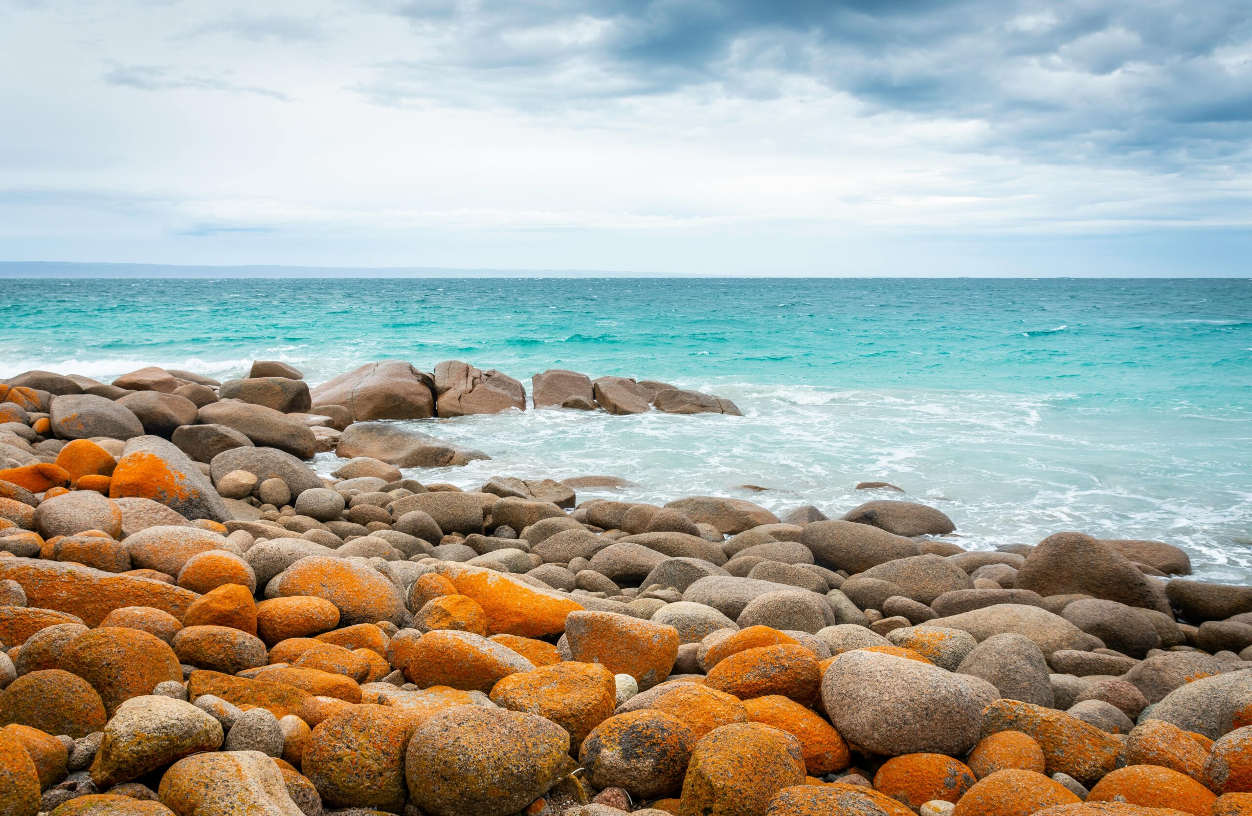 Spokojne, skaliste wybrzeże w Australii Południowej z żywymi widokami na ocean.