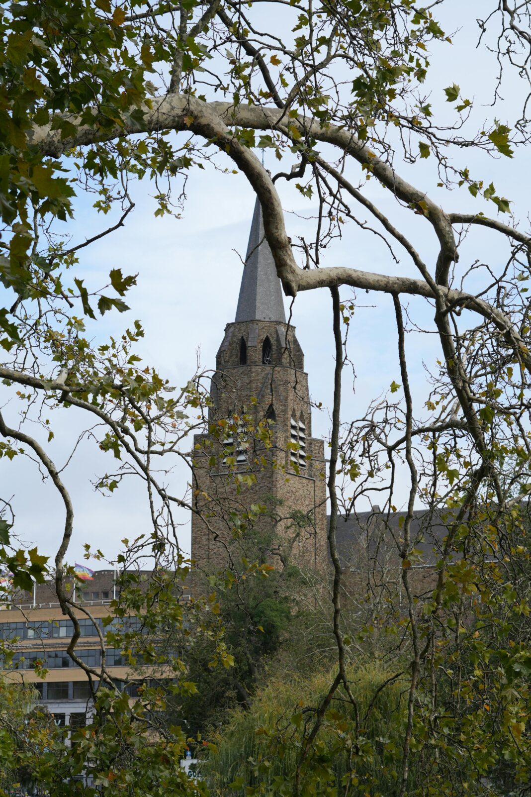 belgia Wieża kościoła w Brukseli otoczona jesiennymi gałęziami, przedstawiająca architekturę gotycką.