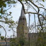 Wieża kościoła w Brukseli otoczona jesiennymi gałęziami, przedstawiająca architekturę gotycką.