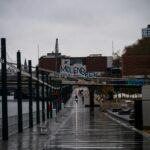 Belgijskie specjały kulinarne - przewodnik po lokalnych daniach i smakołykach belgia