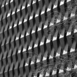 Czarno-białe zdjęcie geometrycznej betonowej fasady z winoroślą.