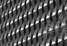 Puerto Natales: Brama do Torres del Paine i lodowców Patagonii Czarno-białe zdjęcie geometrycznej betonowej fasady z winoroślą.