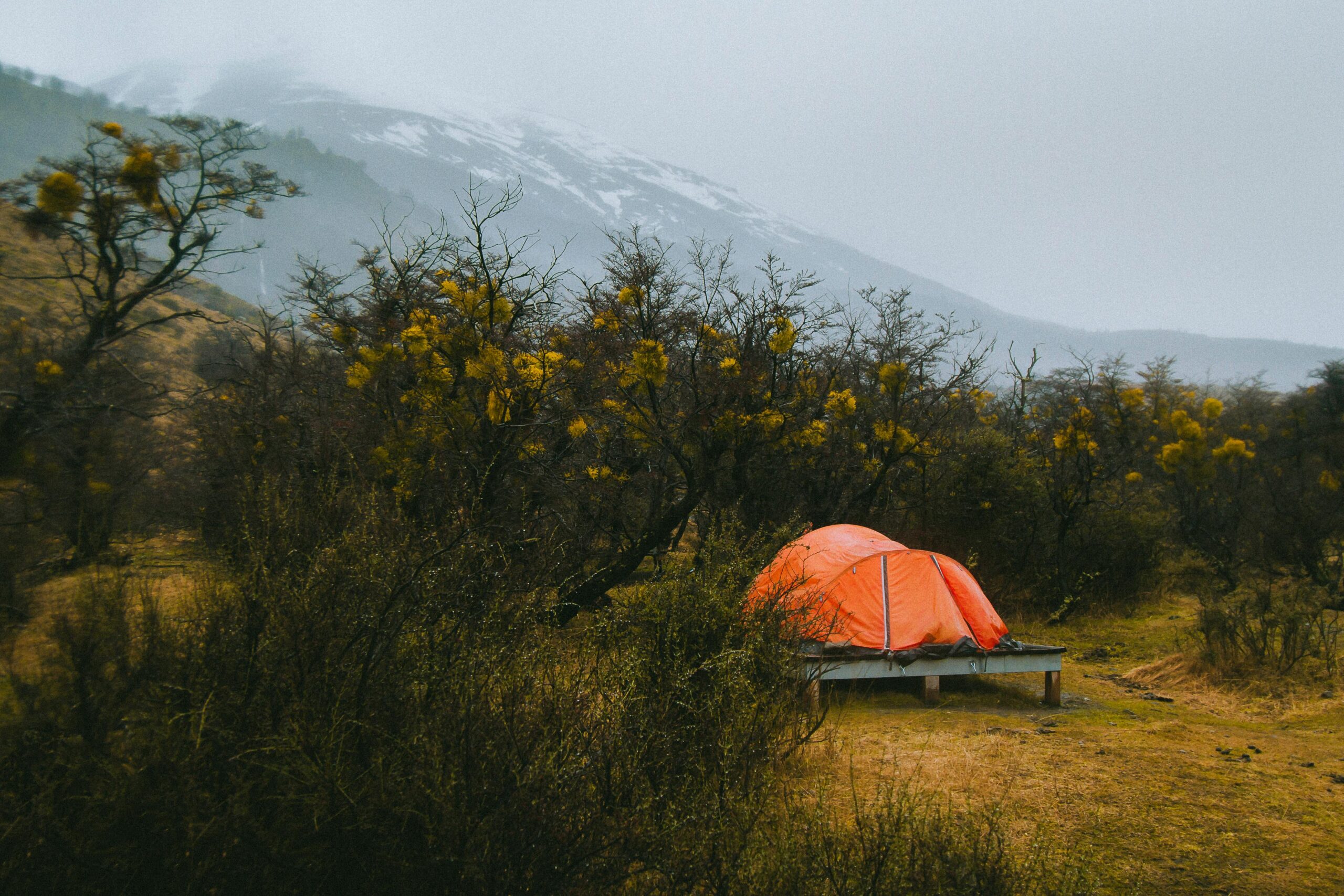 Malowniczy widok na namiot w Torres del Paine w Chile, otoczony przyrodą i górami.