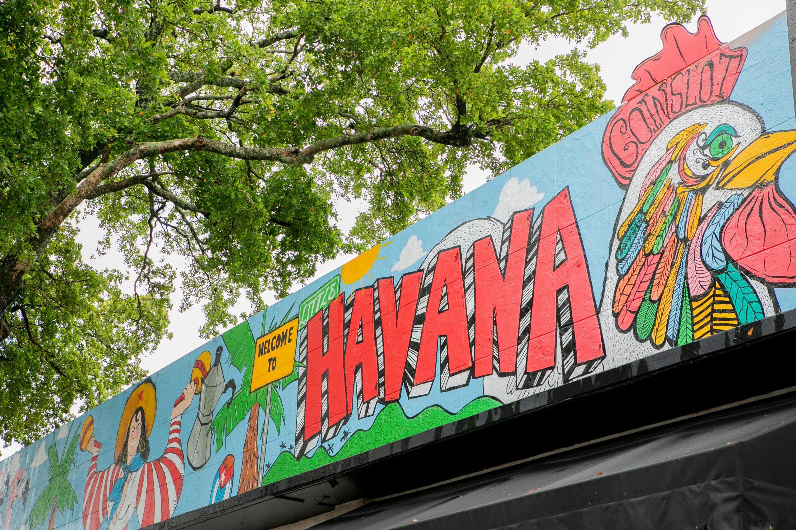 Żywy mural w Hawanie przedstawiający kolorowego koguta i bujną zieleń.