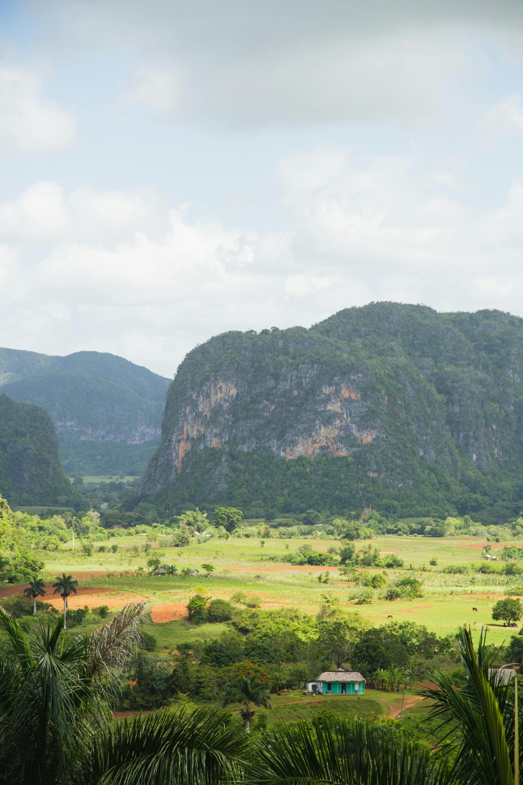 Samotna fasada budynku na zboczu wzgórza na tle drzew i wierzchowców pod zachmurzonym niebem na wsi