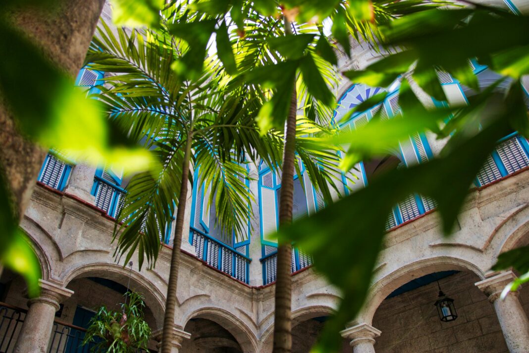 cuba Tętniący życiem tropikalny dziedziniec z palmami i klasyczną architekturą w Hawanie na Kubie.