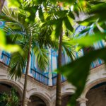 Tętniący życiem tropikalny dziedziniec z palmami i klasyczną architekturą w Hawanie na Kubie.