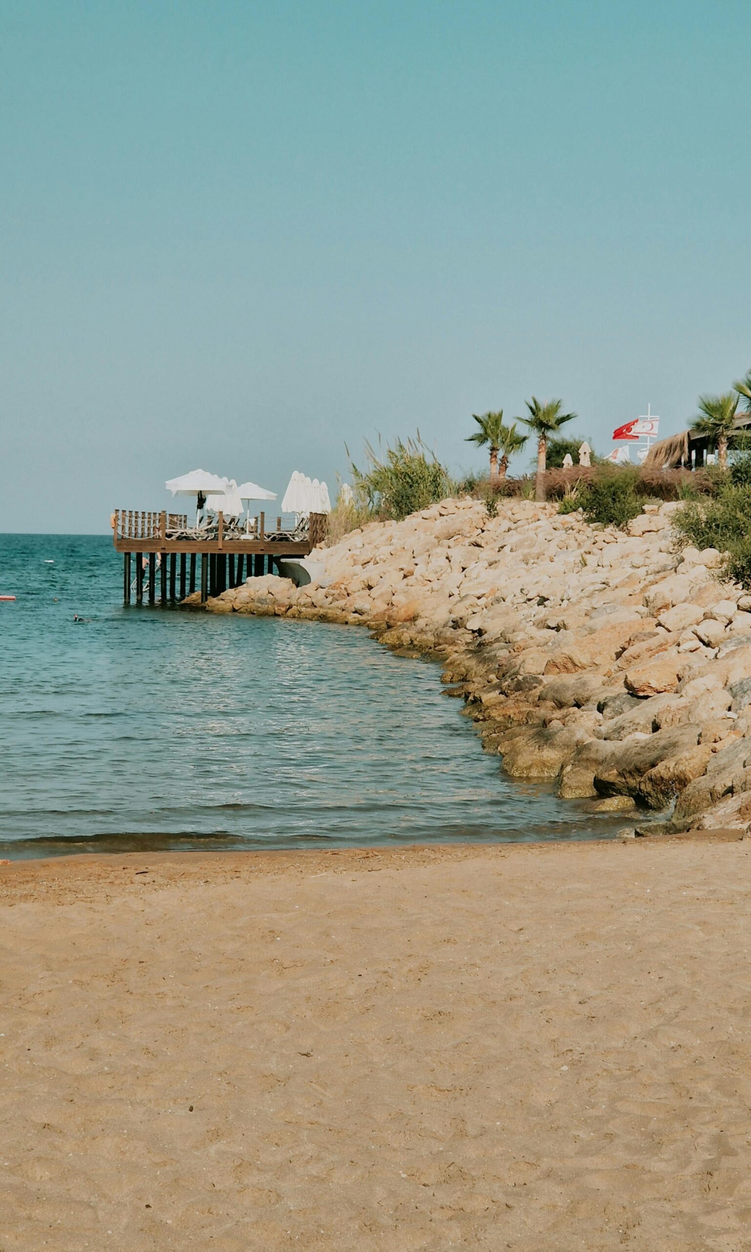 Spokojny widok na plażę z molo, palmami i czystym błękitnym niebem na Cyprze.