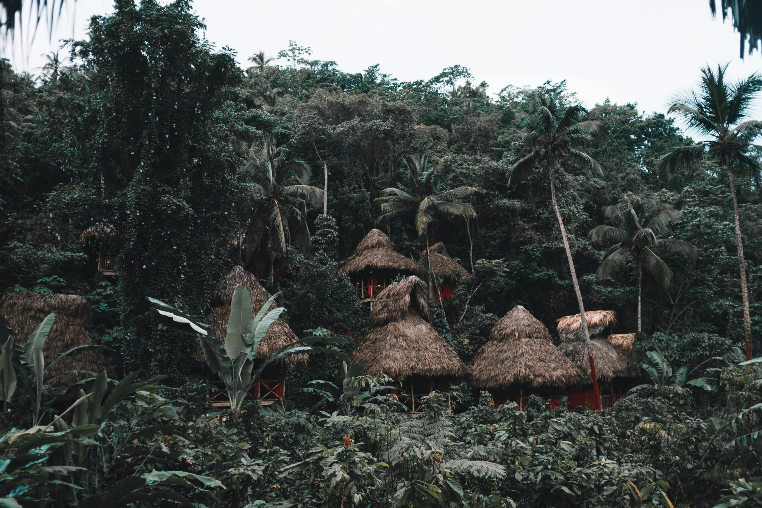 Odkryj tradycyjne chaty kryte strzechą położone w tętniącym życiem lesie tropikalnym prowincji Samana.