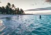 Sylwetka na spokojnej plaży w Punta Cana o zmierzchu, rejestrująca spokojną tropikalną scenę.