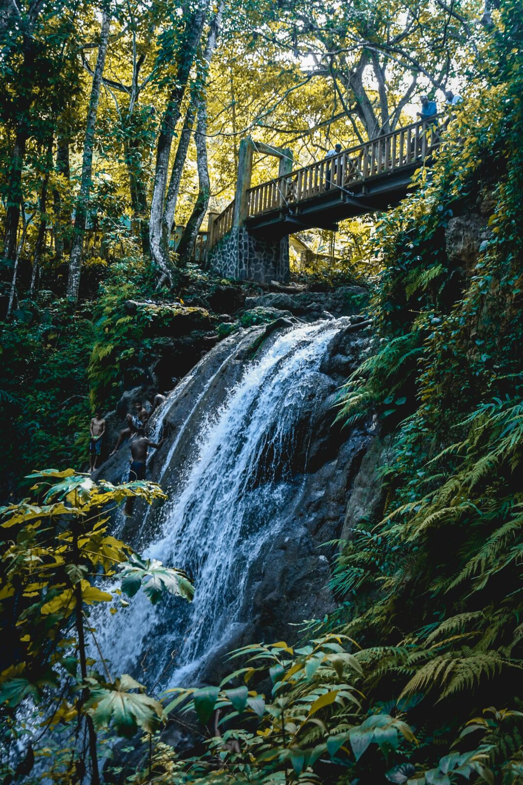 Piękny wodospad spływający kaskadą pod drewnianym mostem otoczonym bujną roślinnością w leśnej scenerii.