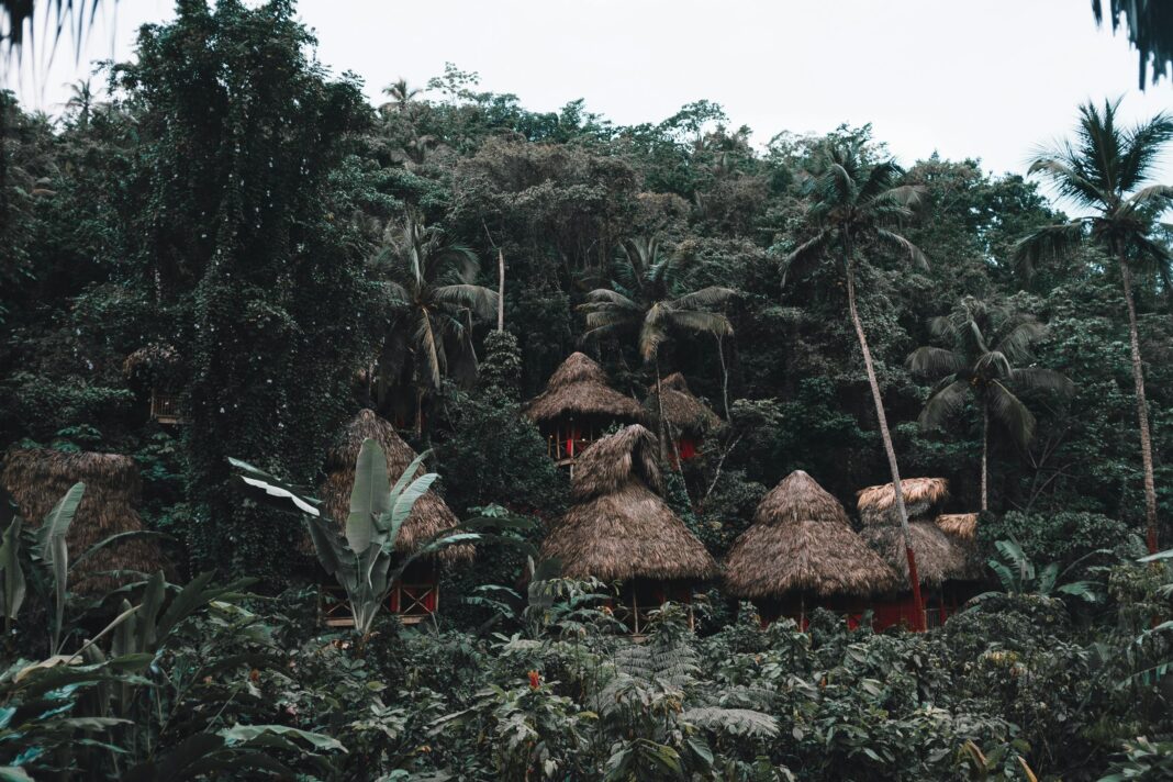 dominikana Odkryj tradycyjne chaty kryte strzechą położone w tętniącym życiem lesie tropikalnym prowincji Samana.