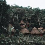 Odkryj tradycyjne chaty kryte strzechą położone w tętniącym życiem lesie tropikalnym prowincji Samana.