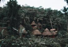 Transport w Dominikanie – autobusy, taxi i wynajem samochodu Odkryj tradycyjne chaty kryte strzechą położone w tętniącym życiem lesie tropikalnym prowincji Samana.