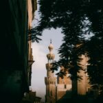 Oaza Siwa – perła pustyni egipt