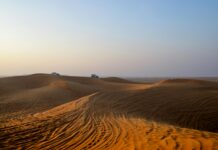 Kair – co warto zobaczyć w stolicy Egiptu? Przemierzanie samochodem przez spokojne pustynne wydmy, uchwycenie esencji pustynnego safari o świcie.