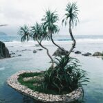 Spokojny basen bez krawędzi otoczony bujną zielenią i widokiem na ocean w Basco na Filipinach.