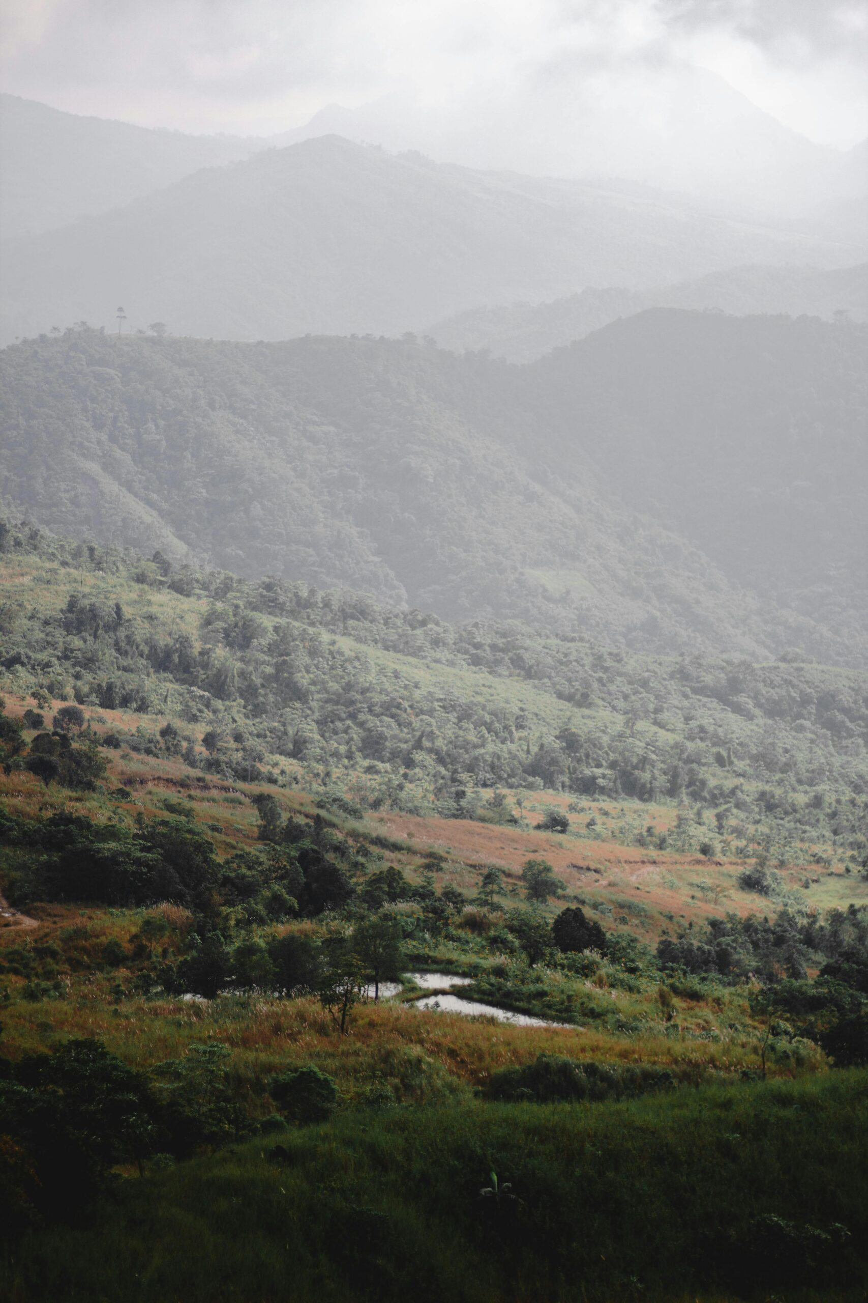 Spokojny widok na pokryte mgłą góry i bujną zieleń w Norzagaray na Filipinach.
