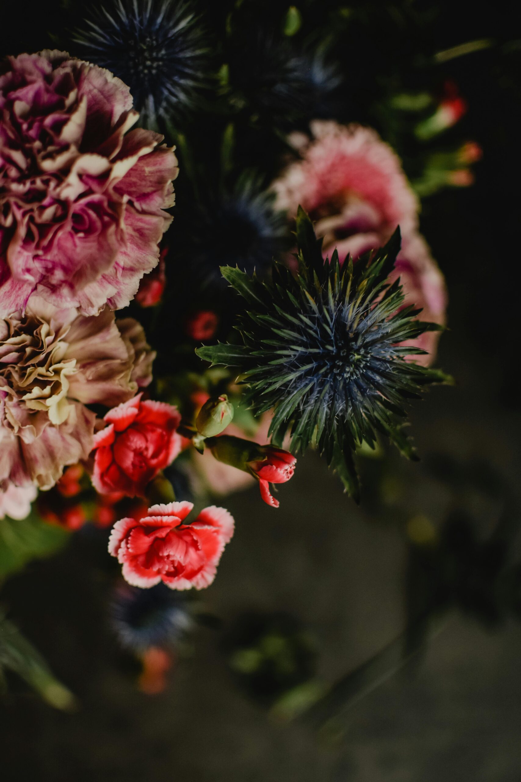 Oszałamiająca kompozycja kwiatowa z alpejskim ostrokrzewem i mieszanymi kwiatami, idealna do celów dekoracyjnych.