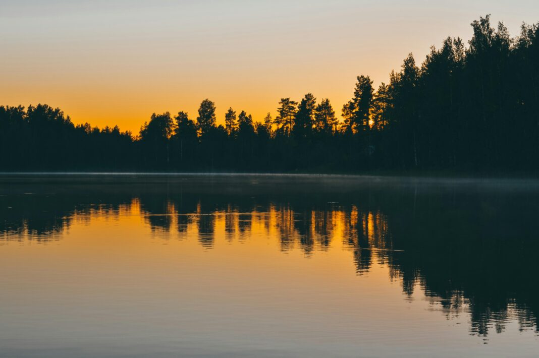 finlandia Spokojny wschód słońca wczesnym rankiem nad spokojnym jeziorem w Jyväskylä w Finlandii, z sylwetkami drzew odbijającymi się w wodzie.