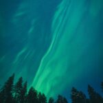 Laponia – niezwykłe doświadczenia w krainie śniegu Oszałamiający pokaz zorzy polarnej nad sylwetkami drzew w Oulu w Finlandii.