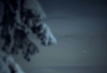 Zapierający dech w piersiach widok na zaśnieżony zimowy las w Finlandii o zmierzchu, ukazujący dziewiczą przyrodę.