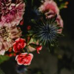 Finlandia – kraj kontrastów natury i nowoczesności Oszałamiająca kompozycja kwiatowa z alpejskim ostrokrzewem i mieszanymi kwiatami, idealna do celów dekoracyjnych.