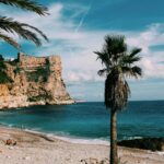 Oszałamiający widok na zaciszną plażę z majestatycznymi klifami i palmami w słoneczny dzień.