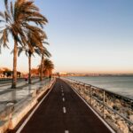 Hiszpańskie jaskinie: Odkrywanie prehistorycznych malowideł w Altamirze. Piękna ścieżka nad oceanem z palmami pod czystym niebem, ukazująca spokojną scenę przybrzeżną.