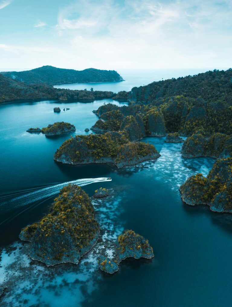 Oszałamiający widok z lotu ptaka na błękitne wody Raja Ampat i unikalne formacje skalne w Papui Zachodniej w Indonezji.