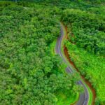 Zapierające dech w piersiach zdjęcie lotnicze krętej drogi przez bujne lasy w Cikidang, Jawa Zachodnia, Indonezja.
