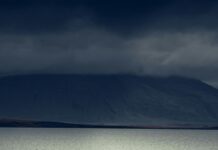 Islandia – TOP 10 atrakcji w Reykjaviku Samotny renifer odpoczywa nad spokojnym jeziorem z górami w tle, Islandia.