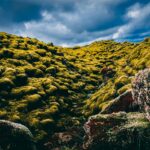 Islandia – gospodarka oparta na rybołówstwie i turystyce Rozległy, pokryty mchem krajobraz wulkaniczny na Islandii z dramatycznymi chmurami nad głową.