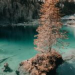 Spokojna scena nad jeziorem w Kandergrund w Szwajcarii, przedstawiająca samotne drzewo na skale.